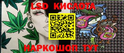 индика Будённовск