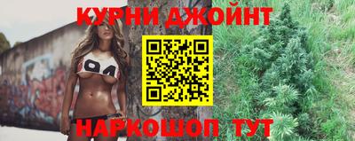 индика Будённовск