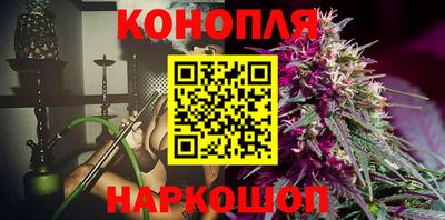 индика Будённовск