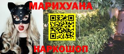 индика Будённовск