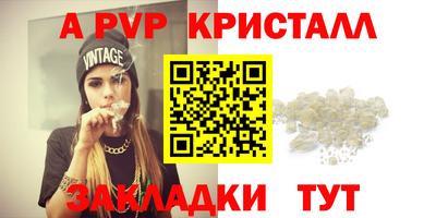 индика Будённовск